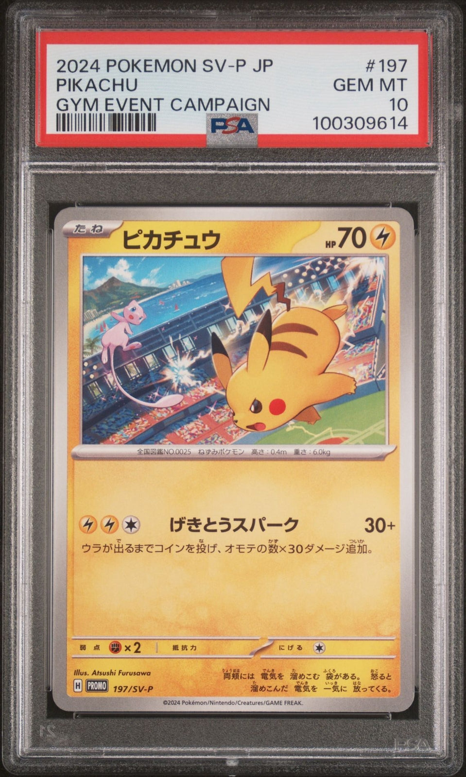 PSA 10 GEM MINT Japanese Pokemon 2024 PIKACHU 197/SV-P Gym Event