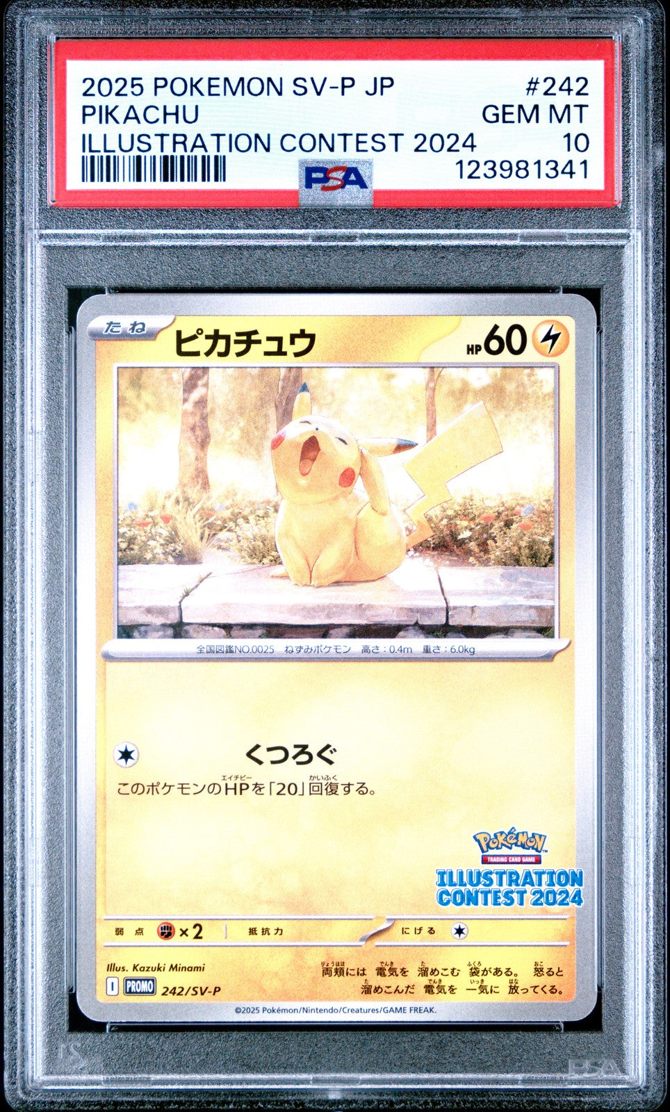 PSA 10 GEM MINT JAPANESE POKEMON 2025 Pikachu 242/SV-P PROMO IILUST. 2024 Winner